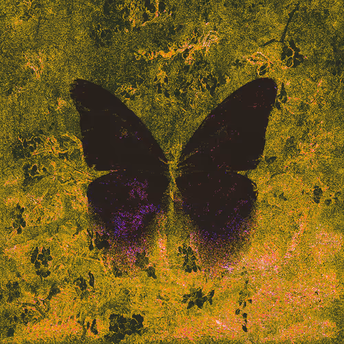 Item #40 Media