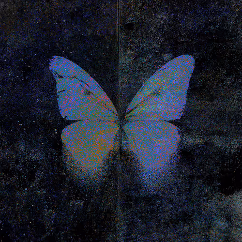 Wing Archive