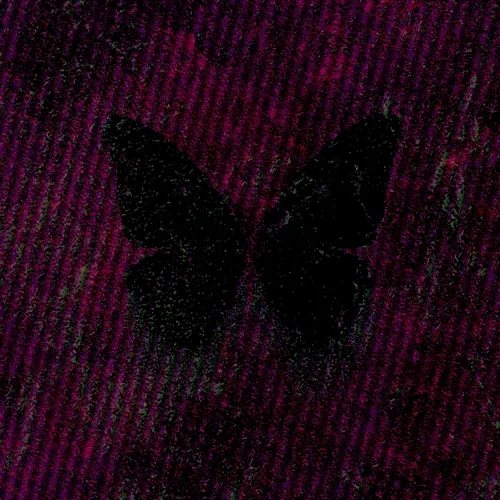 Wing Archive