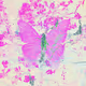 Rupture