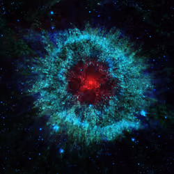 Dimensional Flower Starburst