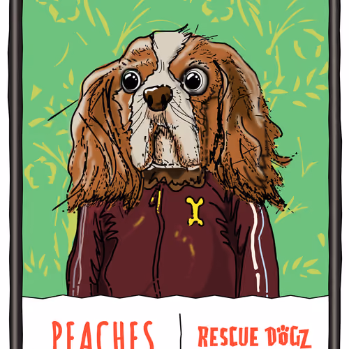 Rescue Dogz #72