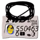 31
