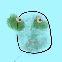 251