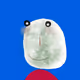 559