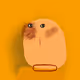 576