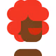 9055