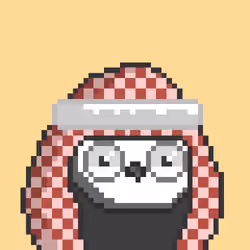 The Saudi Birds #510