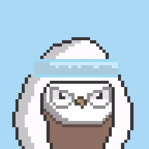 The Saudi Birds #527