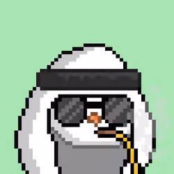 The Saudi Birds #1243