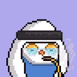 The Saudi Birds #740