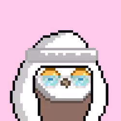 The Saudi Birds #2180