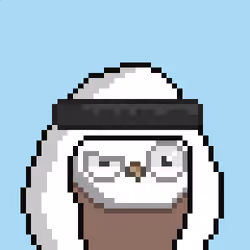 The Saudi Birds #496