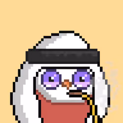 The Saudi Birds #972
