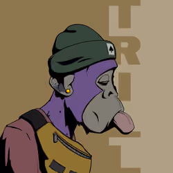 Street Ape Society #875