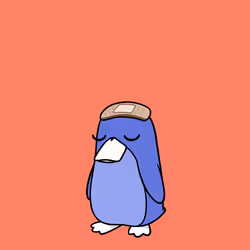 809