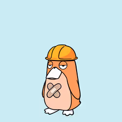 6294