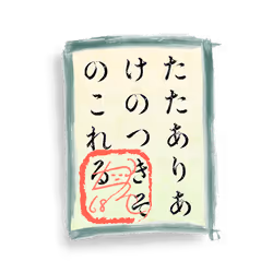 81