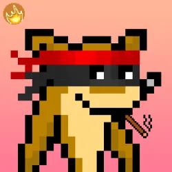 Retro Bandicoot #1263