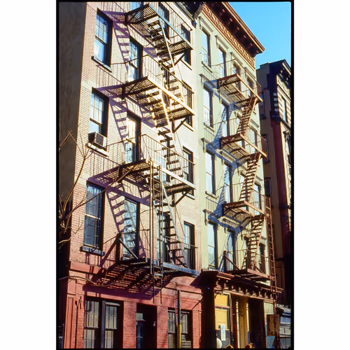 New York 1981