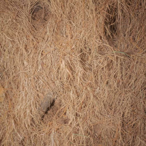 PhotoFilePhrens #12