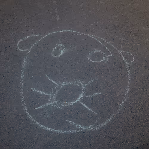 PhotoFilePhrens #29