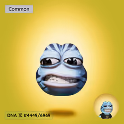 FROGE #6426 DNA 4449/6969
