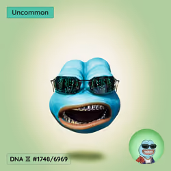 FROGE #333 DNA 1748/6969