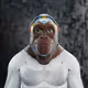 2528