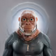 2053