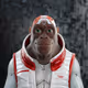 2015