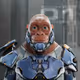 3667