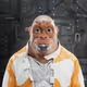 5497