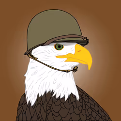 Eagle with M1 Helmet