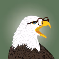 Screaming Bald Eagle with BCGs