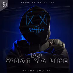 Do What Ya Like (prod. by Macky Gee) #18