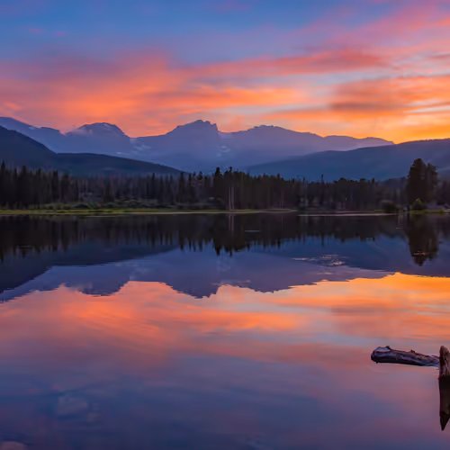 Brynn Alise Landscape Editions