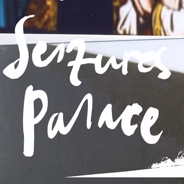 Seizures Palace By Jan St Werner