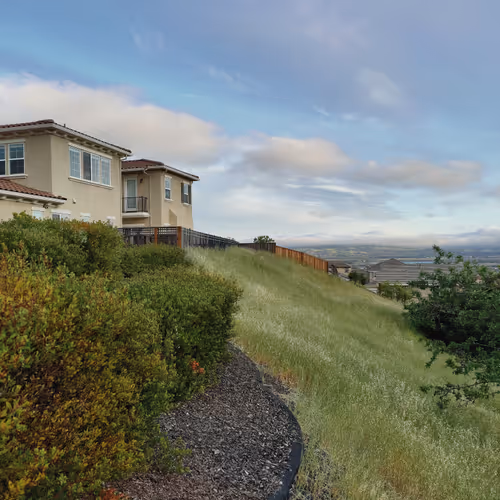 Memories of California