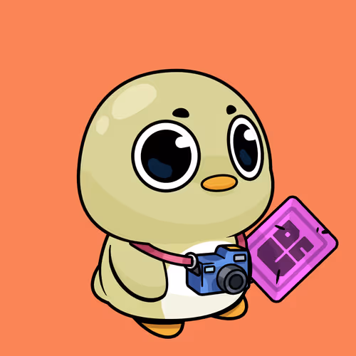 Cozy Penguin