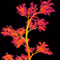 the Reserve: Tree Creator