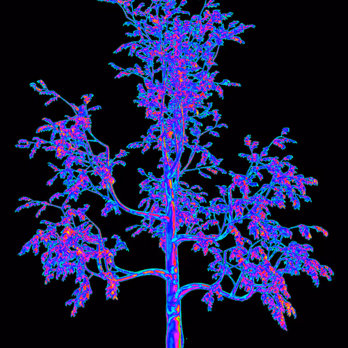 the Reserve: Tree Creator