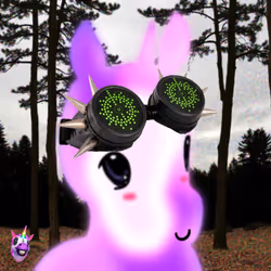 407