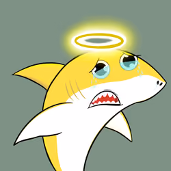 Happy Shark #2036