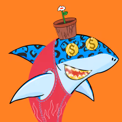 Happy Shark #1552