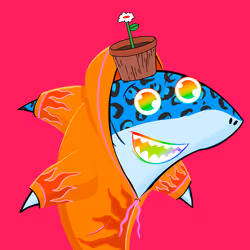 Happy Shark #1560