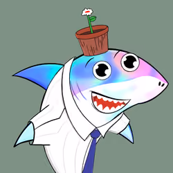 Happy Shark #521