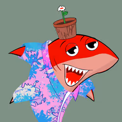 Happy Shark #455