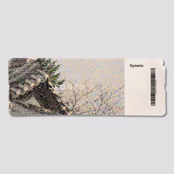flymeta #272