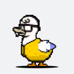 531